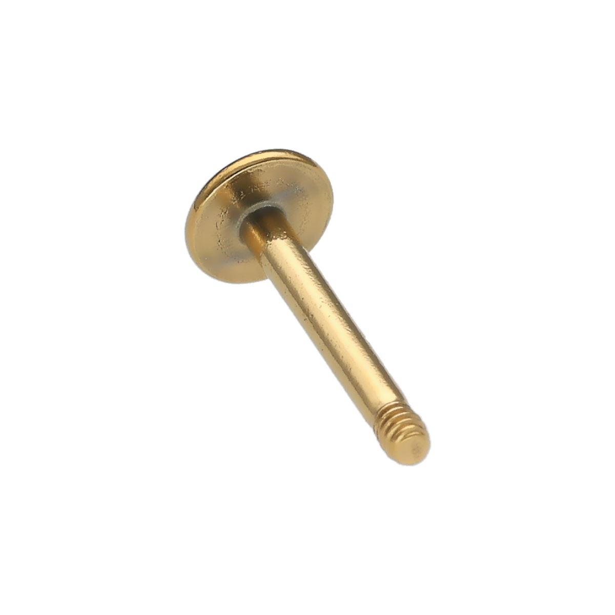 Labret in gold chirurgical steel, screwable