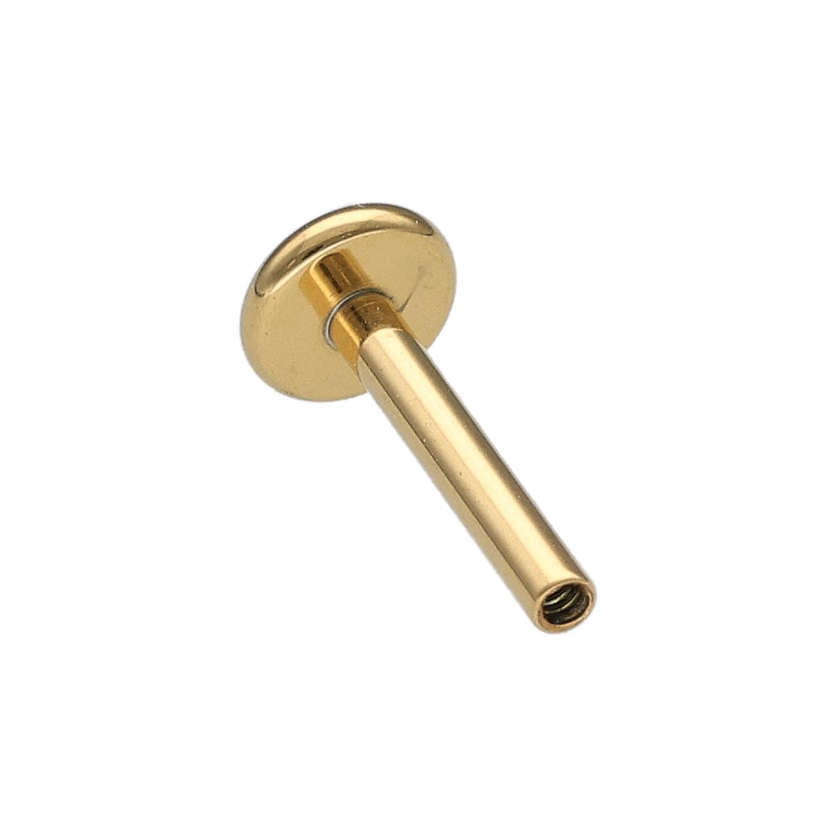 Labret in gold surgical steel with internal thread