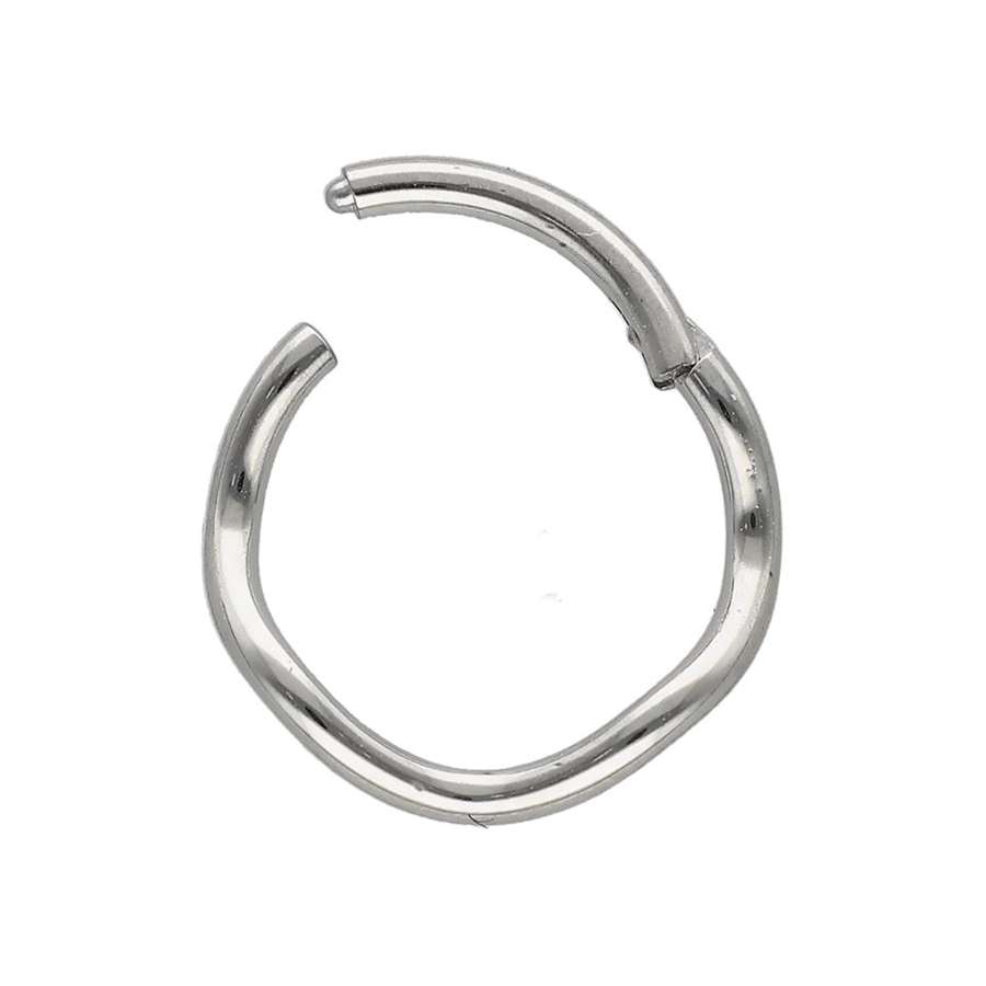 Surgical Rings Segment ring/clicker in surgical steel curved ring - Evy's Secrets
