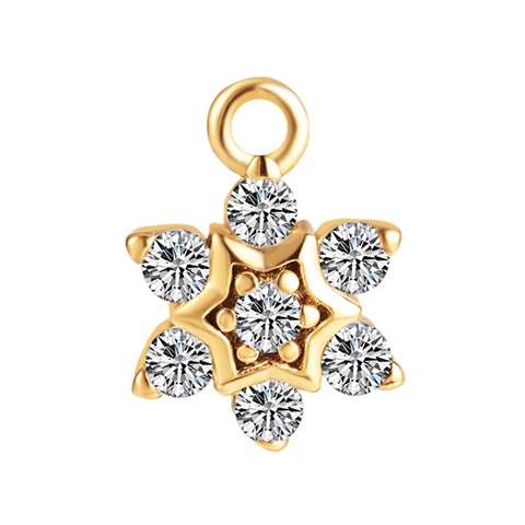 Anhänger aus Stahl mit einem Sternmotiv goldfarbig